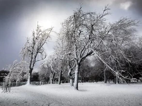 do-kiyeva-meteorologichna-zima-sche-ne-prii-shla-meteorologi
