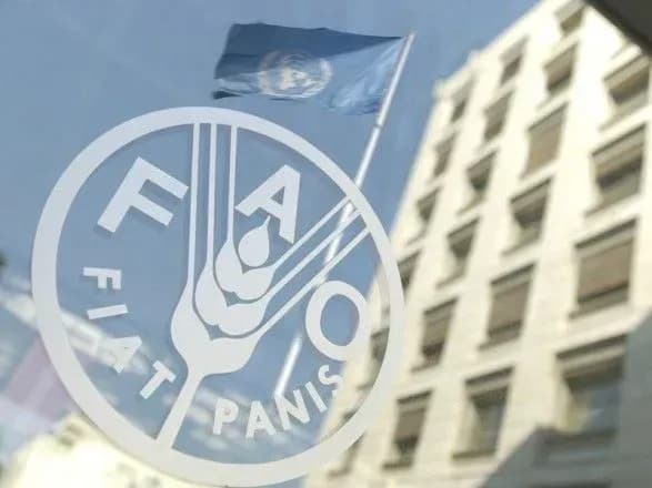 u-sviti-vpershe-za-shist-rokiv-rizko-zrosli-tsini-na-produkti-fao