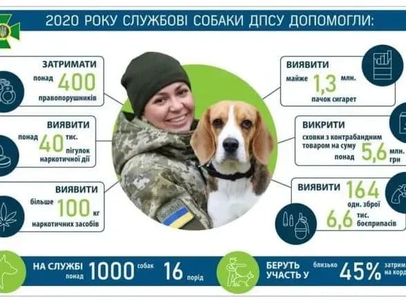 sluzhbovi-sobaki-prikordonnikiv-dopomogli-viyaviti-tsentner-narkotikiv-ta-zatrimati-sotni-porushnikiv