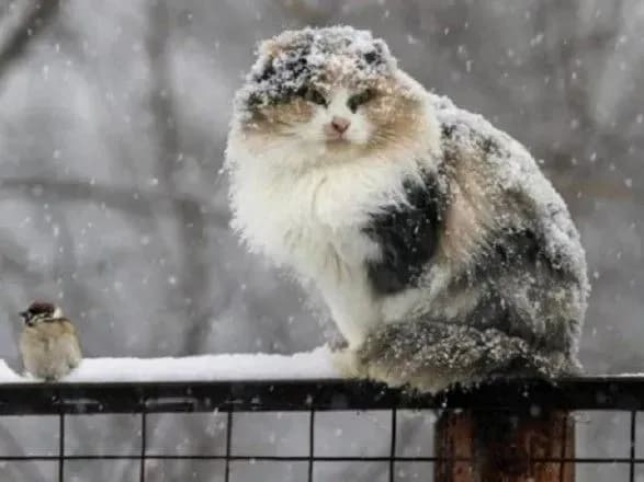 dosch-ta-mokriy-snig-sinoptiki-dali-prognoz-pogodi-na-vikhidni