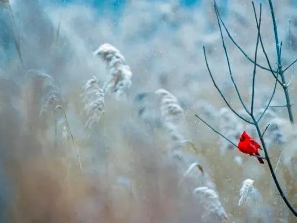 zatishshya-pered-bureyu-sinoptiki-dali-prognoz-pogodi-na-pochatok-robochogo-tizhnya