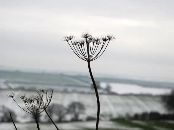 vid-26-morozu-do-7-tepla-prognoz-pogodi-na-sogodni