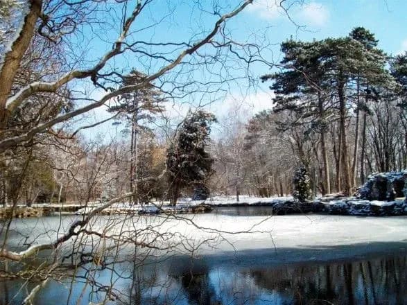 u-zapovidniku-askaniya-nova-znovu-ginut-ptakhi-viyavleno-blizko-190-trupiv