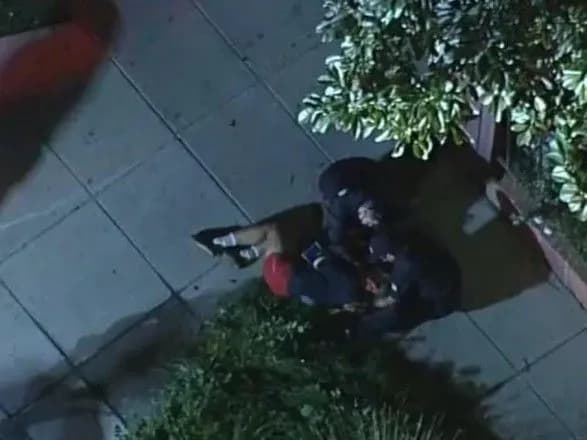 dvokh-sobak-ledi-gagi-vikrali-a-cholovika-yakiy-z-nimi-gulyav-pidstrelili