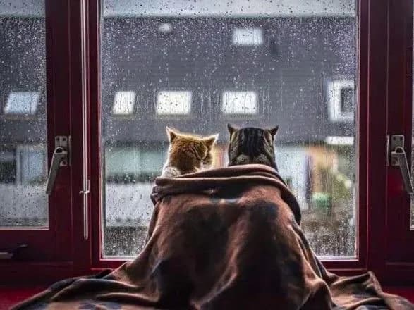 sinoptiki-dali-prognoz-do-kintsya-lyutogo