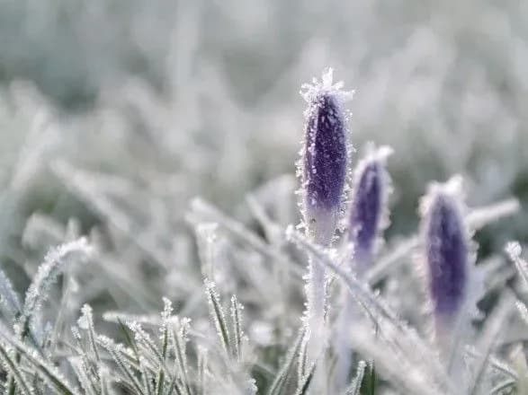 sinoptiki-dali-prognoz-do-kintsya-robochogo-tizhnya-de-vdarit-moroz