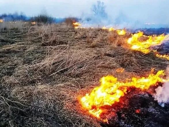 pyanim-paliv-sukhostiy-i-malo-ne-zgoriv-sam-34-richniy-cholovik-z-opikami-potrapiv-do-reanimatsiyi