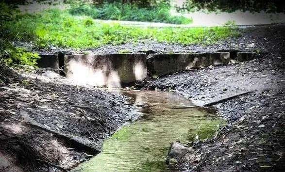 roztratili-ponad-1-mln-grn-zi-stolichnogo-byudzhetu-posadovtsyam-plesa-ta-pidryadnikam-povidomili-pro-pidozru