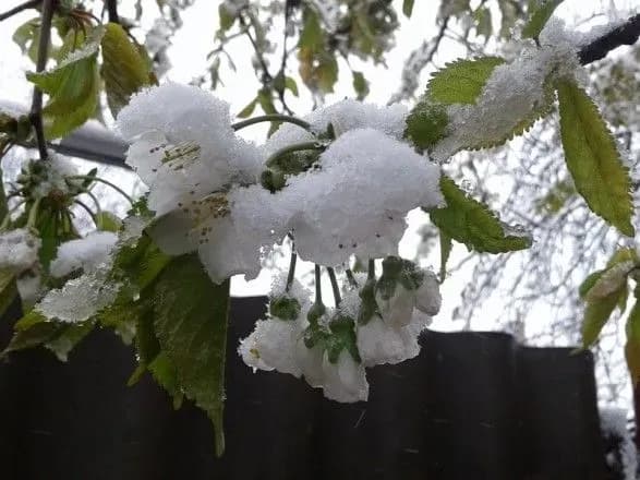 v-karpatakh-mokriy-snig-a-deyakikh-regionakh-zamorozki-na-grunti-prognoz-pogodi-na-18-kvitnya