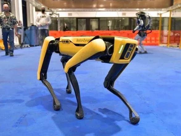 yak-u-chornomu-dzerkali-politsiya-nyu-yorka-zvilnila-robota-psa-boston-dynamics-cherez-antiutopichni-poboyuvannya
