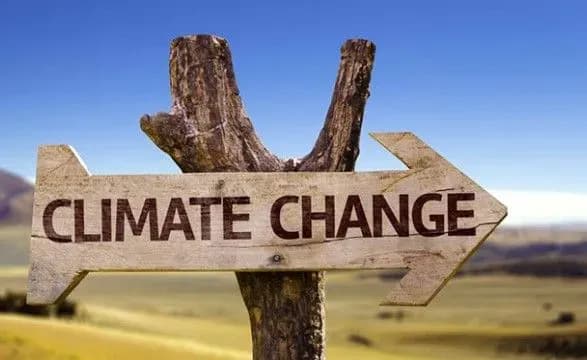 v-oon-zayavili-pro-nablizhennya-svitu-do-katastrofi