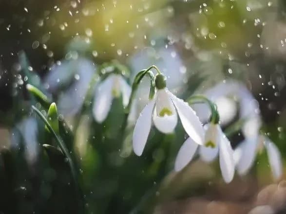 sinoptiki-dali-doschoviy-prognoz-na-zavtra-de-ochikuvati-opadiv