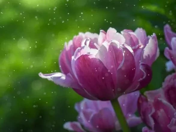 sinoptiki-dali-prognoz-na-vikhidni-7