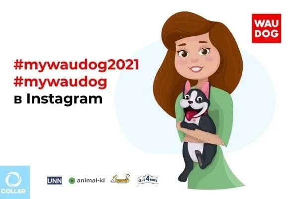 startuye-konkurs-istoriya-mywaudog-2021