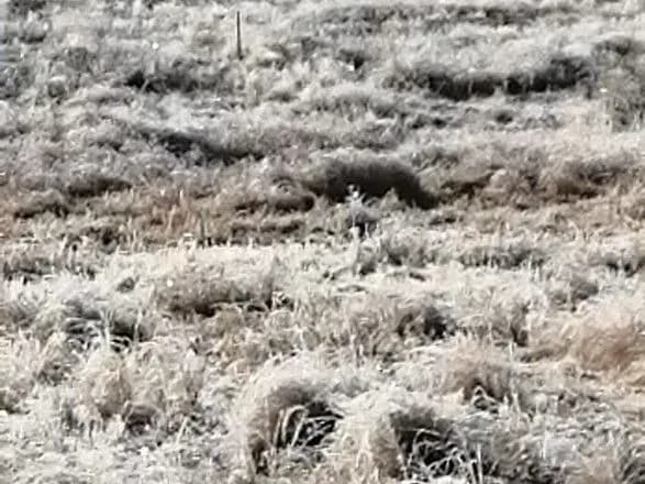 snig-ta-morozi-u-par-fiksuyut-pogodni-anomaliyi