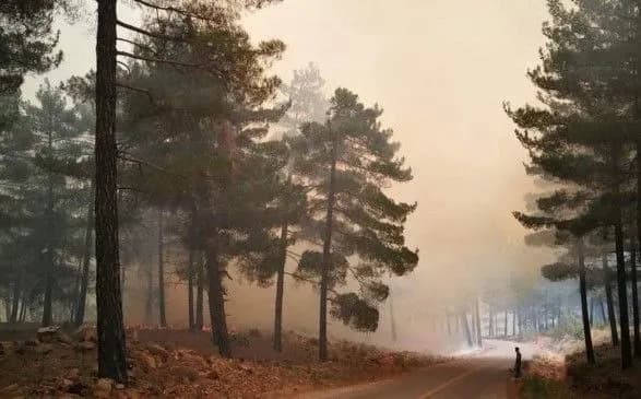 zelenskiy-ukrayina-napravit-pozhezhniy-litak-na-dopomogu-pozhezhnikam-turechchini
