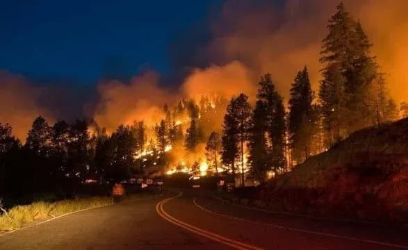 u-rosiyi-gorilo-1-5-mln-ga-lisu