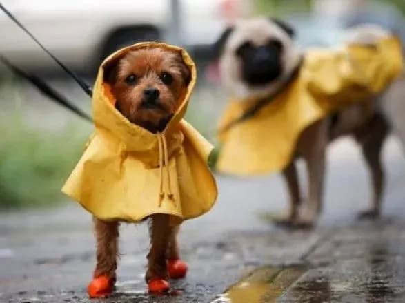 doschi-na-chastini-ukrayini-ta-do-32-tepla-prognoz-pogodi-na-sogodni