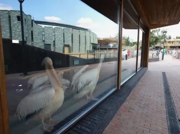 za-tualet-viddali-30-mln-grn-a-proplatiti-domen-zabuli-chergoviy-fakap-v-zooparku-kharkova