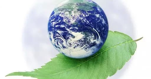 6-zhovtnya-vidznachayut-vsesvitniy-den-okhoroni-mists-prozhivannya