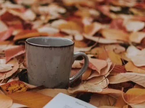 sinoptiki-sukha-pogoda-utrimayetsya-do-kintsya-tizhnya-unochi-moroz