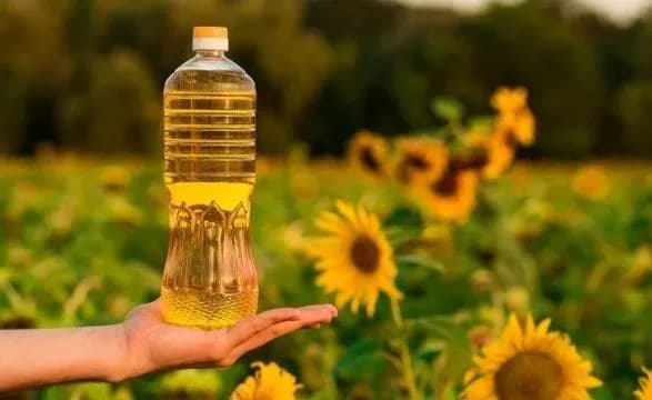 ekonomist-zvernuv-uvagu-na-pributki-kernel-derzhavi-platit-mizer-a-zbagachuyetsya-na-tsini-oliyi-dlya-lyudey