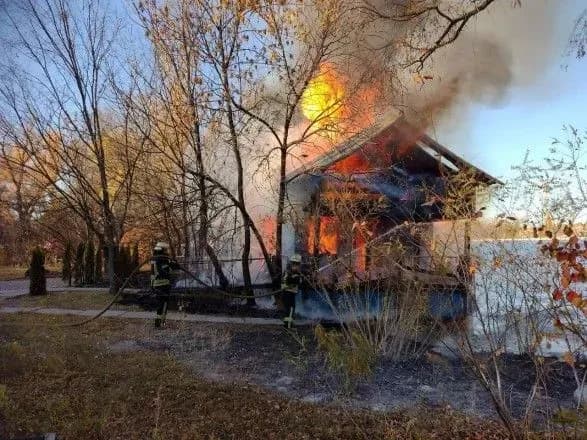 gorila-derevyana-plavayucha-laznya-pozhezhu-u-stolichnomu-gidroparku-lokalizuvali