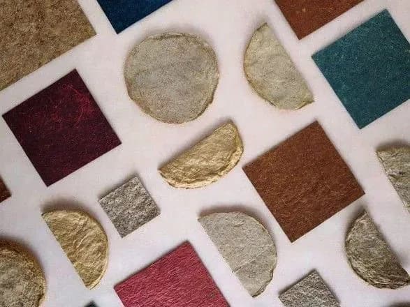 peretvorennya-kokosovoyi-vodi-na-vegansku-shkiru-v-indiyi-predstavili-ekostartap