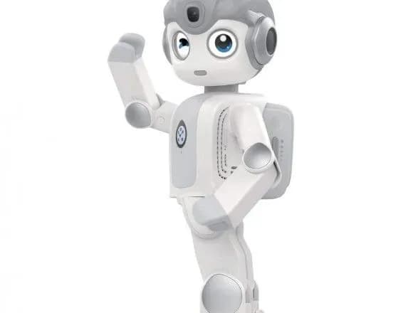 u-koreyi-robotiv-zaluchili-do-vikhovannya-ditey-u-sadochkakh