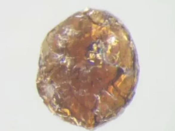 naukovtsi-stvorili-sklo-yake-tverdishe-za-almaz