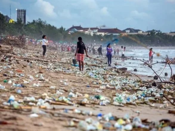 komakhi-u-vsomu-svitu-evolyutsionuyut-schob-poyidati-plastik-doslidzhennya