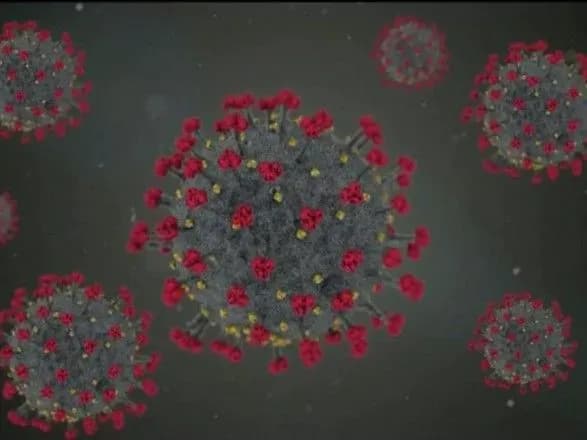 shtam-omicron-rozmnozhuyetsya-v-dikhalnikh-shlyakhakh-lyudini-u-70-raziv-shvidshe-nizh-delta-doslidzhennya