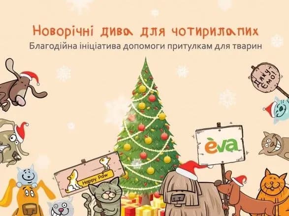 u-ramkakh-proyektu-eva-ta-happy-paw-otrimali-dopomogu-11-pritulkiv-dlya-tvarin