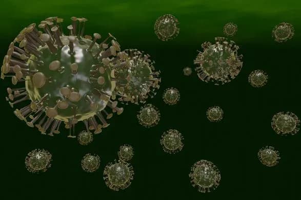 pidvid-omicron-ba-2-ymovirno-matime-takiy-samiy-stupin-tyazhkosti-yak-i-pochatkoviy-shtam-vooz