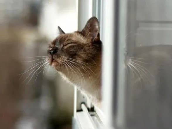 prognoz-pogodi-na-16-lyutogo