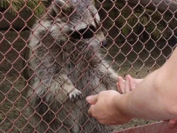 yevropeyska-asotsiatsiya-zooparkiv-ta-akvariumiv-zibrala-dlya-postrazhdalikh-vid-viyni-zooparkiv-ukrayini-ponad-600-tisyach-dolariv