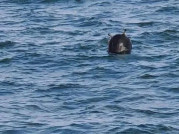 v-odeskiy-zatotsi-zneshkodili-minu-yaka-splivla-na-poverkhnyu-vodi