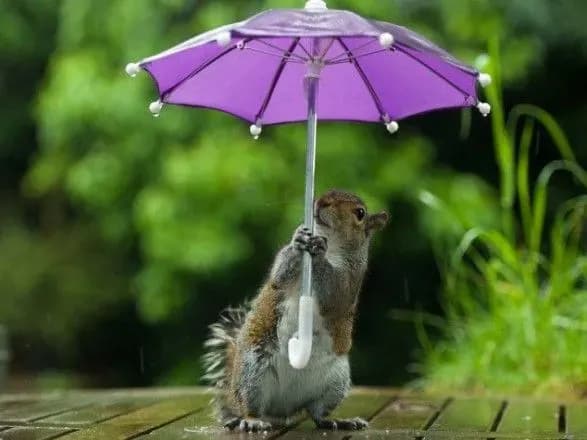 sinoptiki-prognozuyut-33-gradusnu-speku-z-doschami