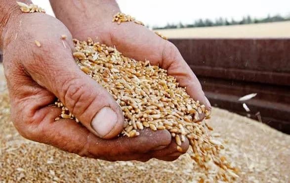 vivezennya-okupantami-ukrayinskogo-zerna-kharkivschini-do-rf-rozpochato-provadzhennya