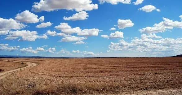 uryad-ukhvaliv-rishennya-schodo-zbilshennya-prozorosti-ta-efektivnosti-funktsionuvannya-rinku-zemli