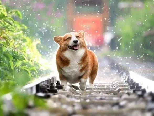 speka-pide-na-spad-na-zakhodi-ta-pivnochi-sinoptiki