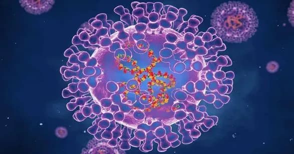 regulyator-yes-rekomenduvav-skhvaliti-vaktsinu-proti-mavpyachoyi-vispi