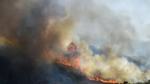 gonitva-za-adrenalinom-frantsuzkiy-pozhezhnik-viyavivsya-seriynim-paliyem-1