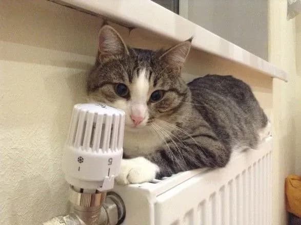 v-tspd-pri-rnbo-sprostuvali-feyki-pro-pidvischennya-tsin-na-komunalni-poslugi