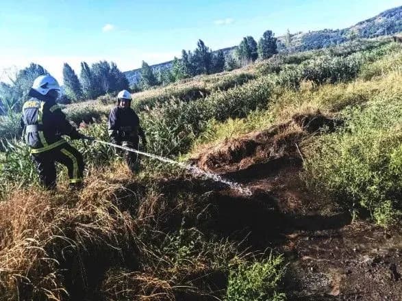 pid-kiyevom-goryat-torfovischa-kiyan-prosyat-zachinyati-vikna