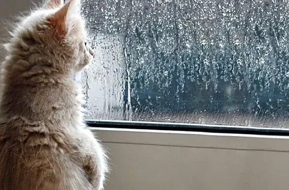 doschi-prognoz-pogodi-v-ukrayini-na-3-veresnya