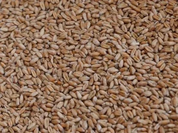 na-mikolayivschini-vorog-vluchiv-v-elevator-znischeno-tisyachi-tonn-zerna