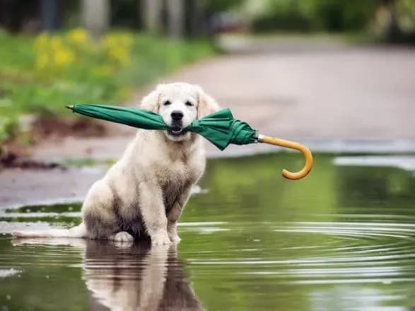 khmarnist-ta-zlivi-prognoz-pogodi-v-ukrayini-na-10-veresnya