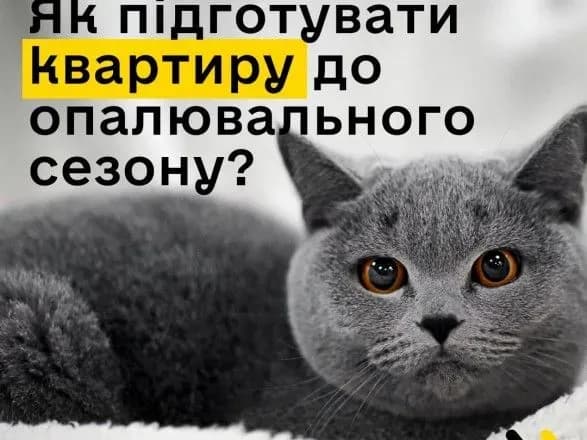 yak-pidgotuvati-oselyu-do-opalyuvalnogo-sezonu-instruktsiya