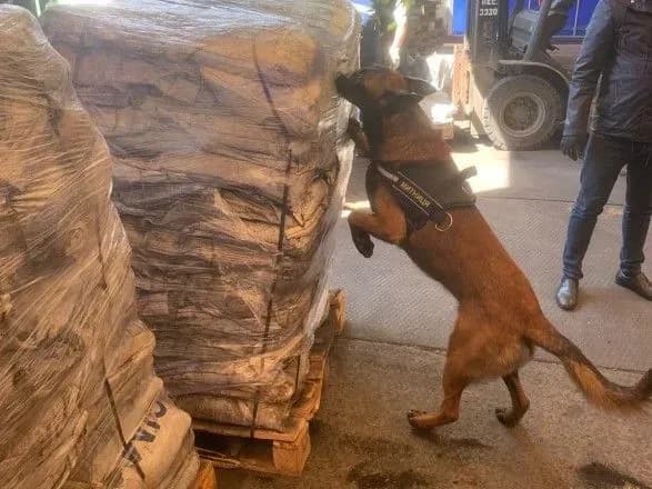 na-mitnitsi-vpershe-viyavili-chorniy-kokayin-partiya-na-15-milyoniv-zayshla-v-port-odesi